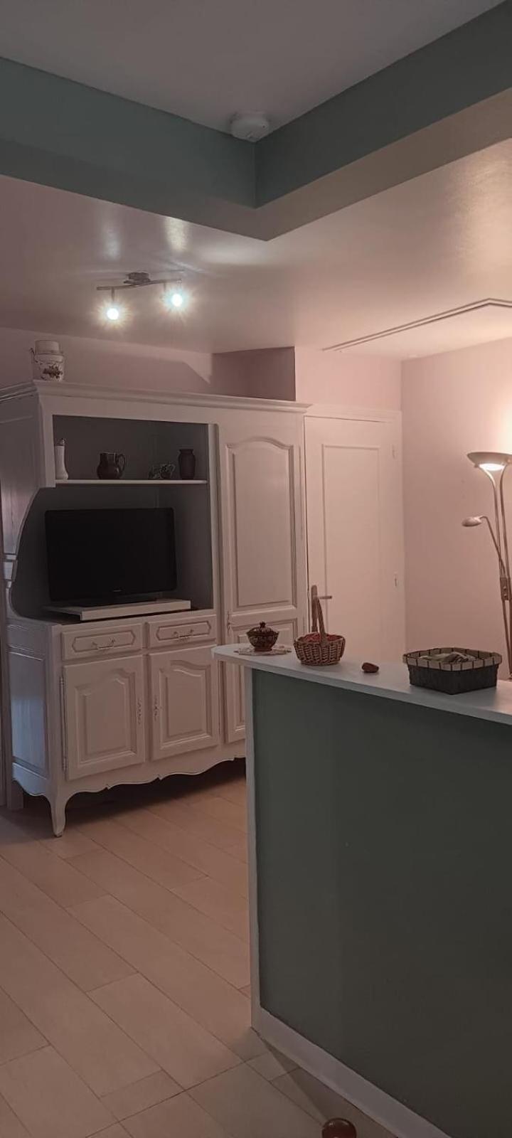 Appartement 120 M² Duplex Coeur Historique Au Calme Le Puy-en-Velay Экстерьер фото